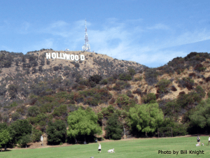 The Dog Park at Old Hollywoodland Photo by Bill Knight