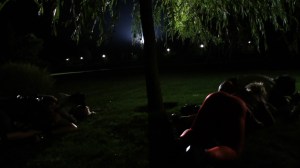 Vampires Prey and Play in the Park